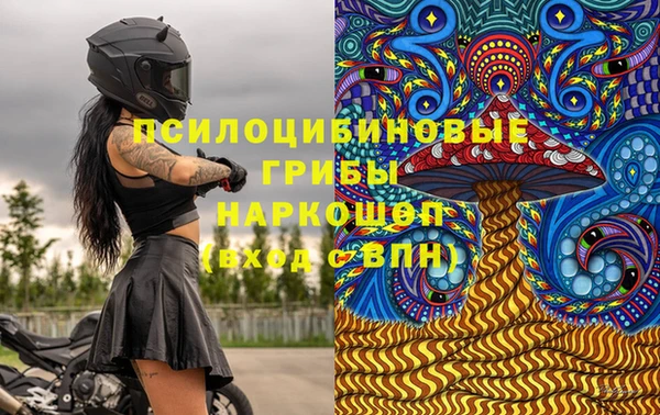 МДПВ Алексеевка